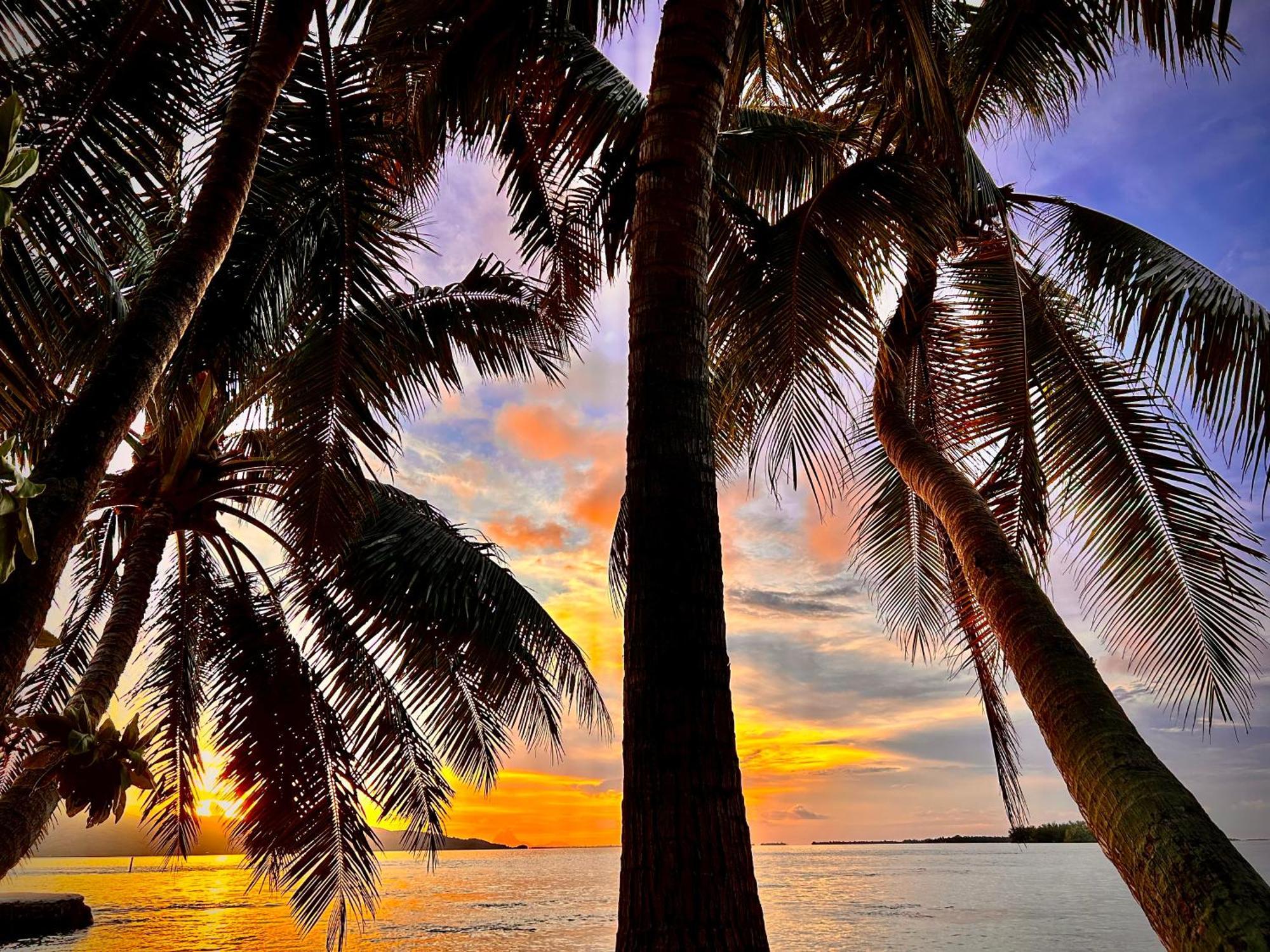 Hotel Eden Private Island Tahaa Patio  Exterior foto
